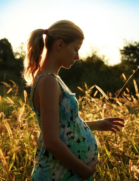 Vientre de una mujer embarazada en la naturaleza — Foto de Stock