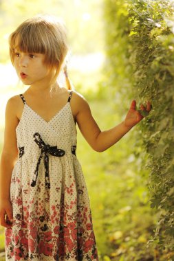 Güzel küçük kız.