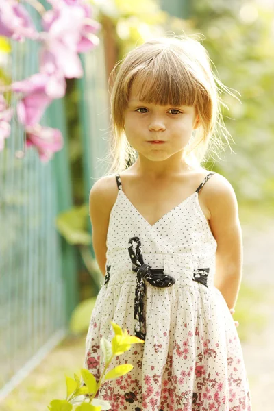 Güzel küçük kız. — Stok fotoğraf