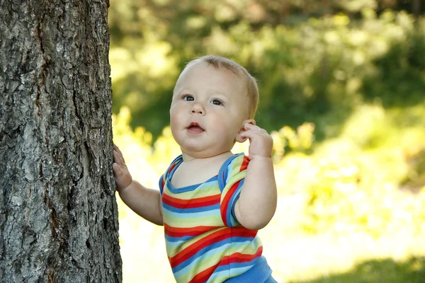 Cute little boy — Stock Photo, Image