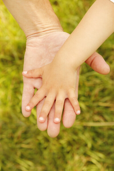 Parent and child hands