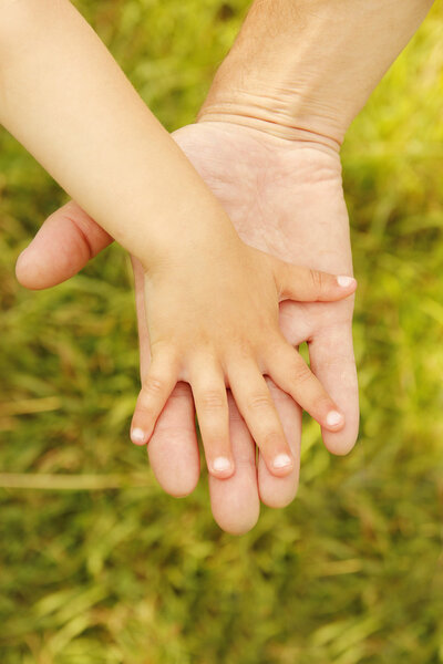 Parent and child hands