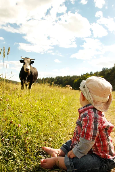 Boy and cow — Stock Photo, Image