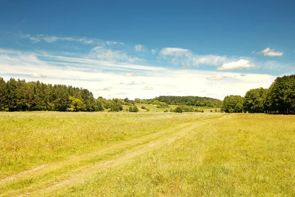 Field landscape — Stock Photo, Image