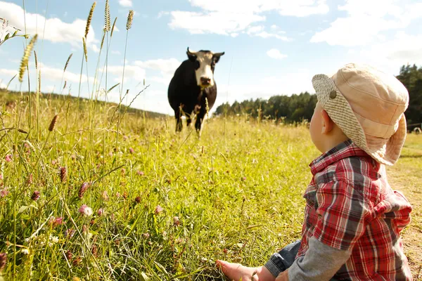 Niño y vaca — Foto de Stock