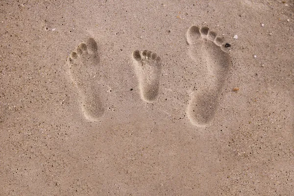Family footprints — Stock Photo, Image
