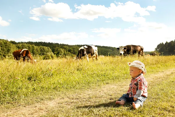 Garçon et vaches — Photo