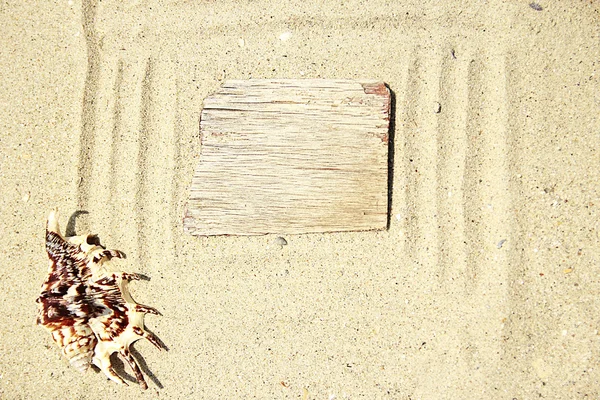 Песок с раковиной на пляже — стоковое фото