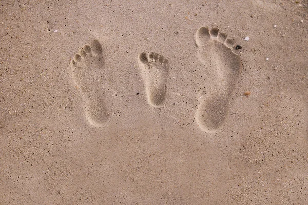 Familie voetafdrukken in het zand — Stockfoto