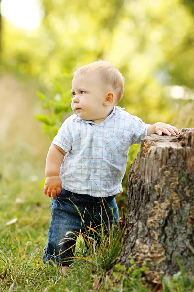 Liten pojke i sommardag — Stockfoto