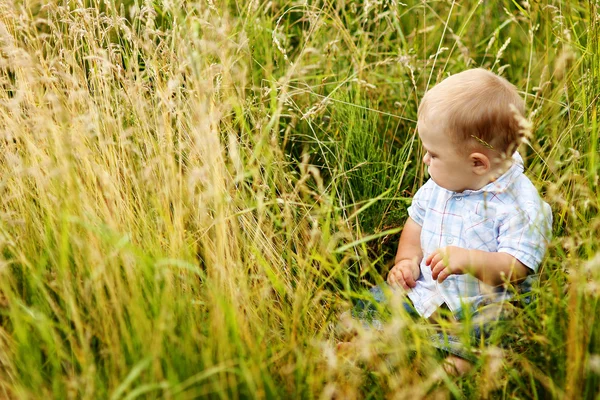 Liten pojke i sommardag — Stockfoto