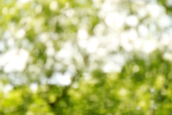 Natuurlijke achtergrond — Stockfoto