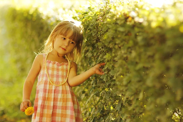 Menina na natureza — Fotografia de Stock