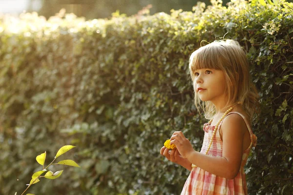 Flicka på natur — Stockfoto