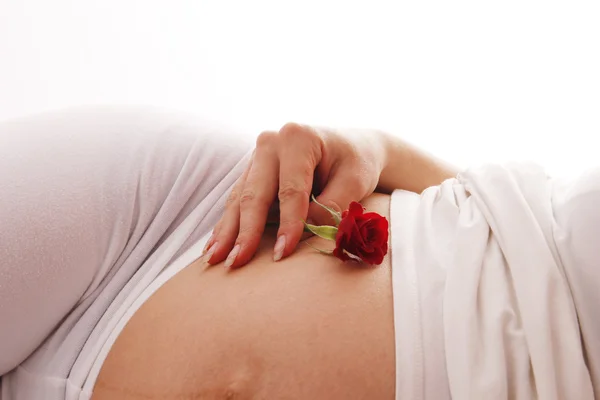 꽃과 임신 — 스톡 사진