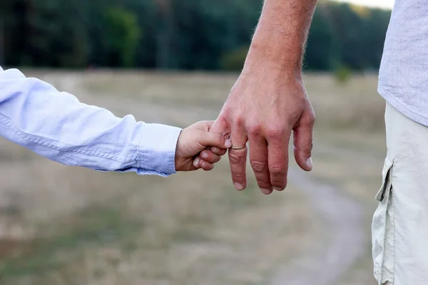 Happy Child Parent Hands Nature Park Travel — стоковое фото