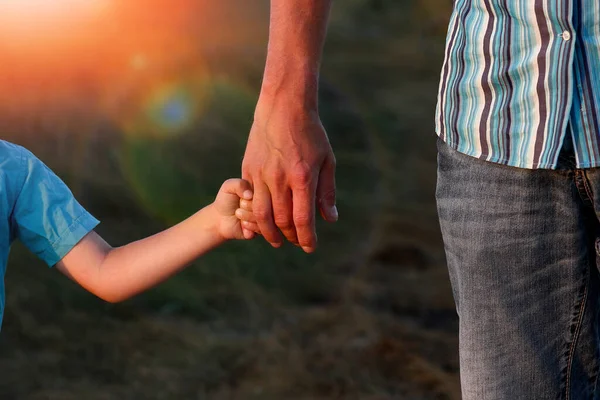 Hände Eines Glücklichen Kindes Und Elternteils Der Natur Einem Park — Stockfoto