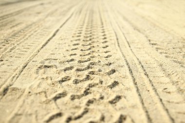 car tire marks in the sand