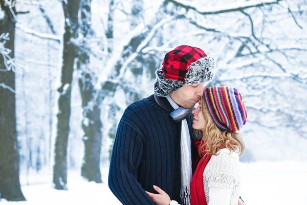 Casal Bonito Elegante Parque Inverno Fundo Natureza — Fotografia de Stock