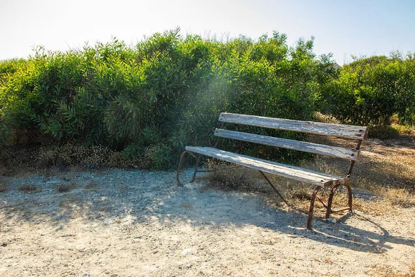 自然を背景に海岸近くの美しいベンチは — ストック写真