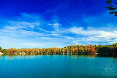 Yolculuk için güzel bir sonbahar yolu