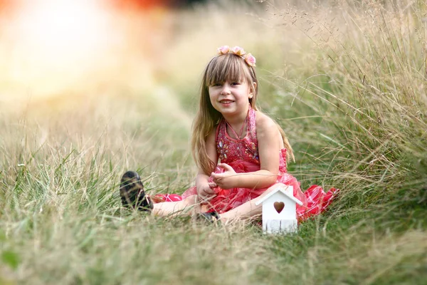 Маленька Дівчинка Сукні Біля Поля — стокове фото