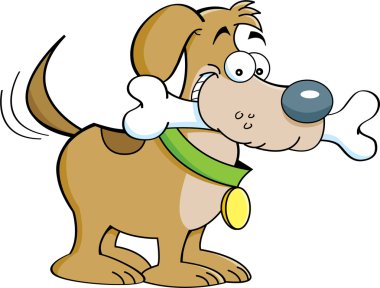 köpek ve bir kemik