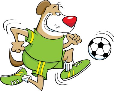 futbol oynayan köpek