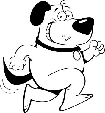çalışan köpek