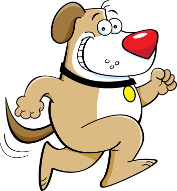 çalışan köpek