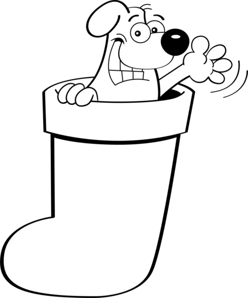 Perro de dibujos animados en una media — Vector de stock