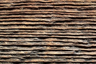 Eski bir tahtanın parçası. Makro fotoğrafçılık.