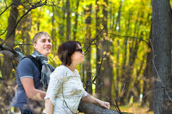 The couple in an autumn wood — Stock Photo, Image