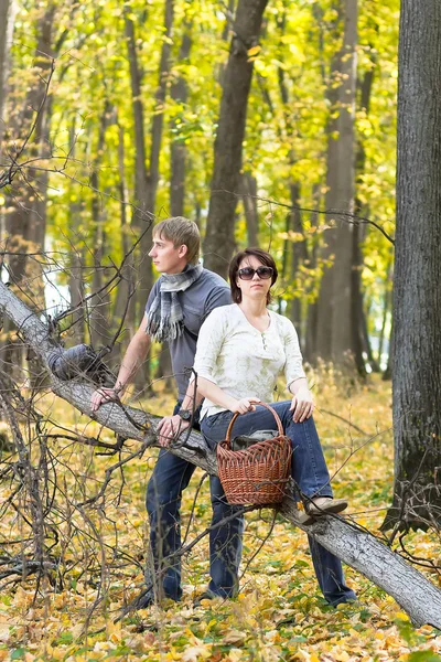 The couple in an autumn wood — Stock Photo, Image