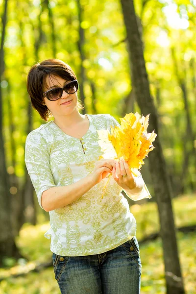 Woman collects yellow leaves — Stock Photo, Image