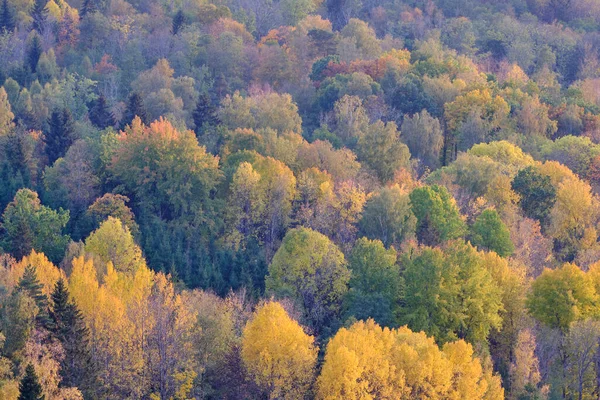 Красочная Осень Горах — стоковое фото