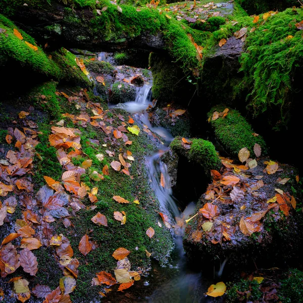 Водоспад Барвистому Осінньому Лісі — стокове фото