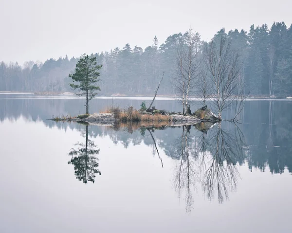 Reflection Trees Lake — Stock Photo, Image