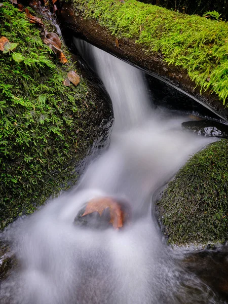 Водоспад Лісі — стокове фото