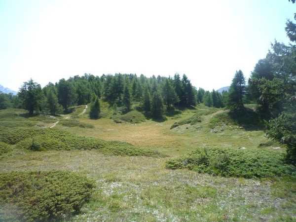 Malebný Pohled Horskou Louku Panorama Italských Alpách Kopírovacím Prostorem Pro — Stock fotografie