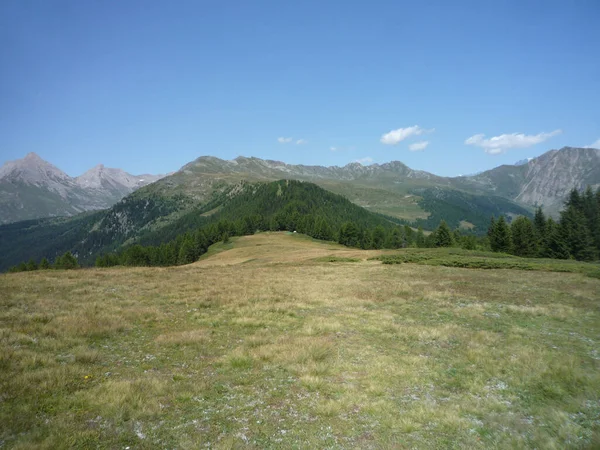 Malebný Pohled Horskou Louku Panorama Italských Alpách Kopírovacím Prostorem Pro — Stock fotografie