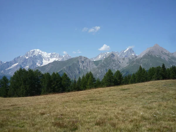 Vista Panorámica Prado Montaña Los Alpes Italianos Con Espacio Copia — Foto de Stock