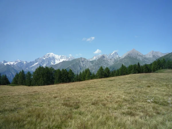Malowniczy Widok Górską Panoramę Łąki Alpach Włoskich Kopią Miejsca Tekst — Zdjęcie stockowe