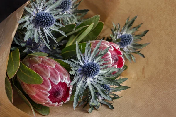 Flor Protea Sudafricana Ramo Flores Eryngium Papel Regalo — Foto de Stock