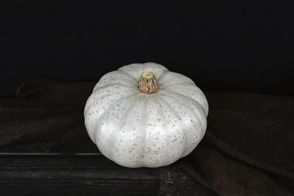 Grey Skin Crown Prince Pumpkin Black Background — Stock Photo, Image