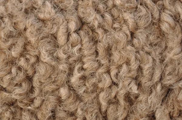 Волосы верблюда — стоковое фото