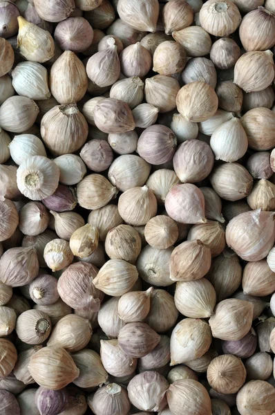 Garlic — Stock Photo, Image