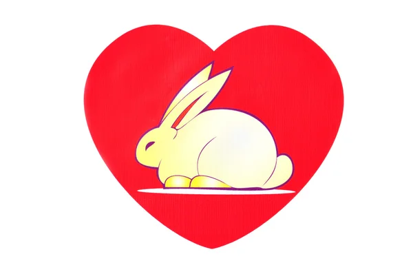 Bunny of love — Stock Photo, Image