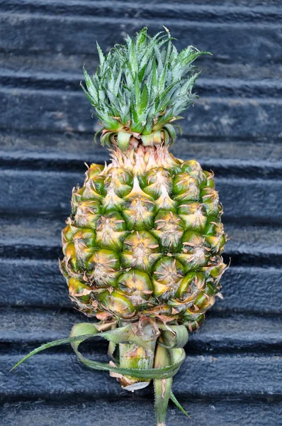 Pineapple — Stock Photo, Image