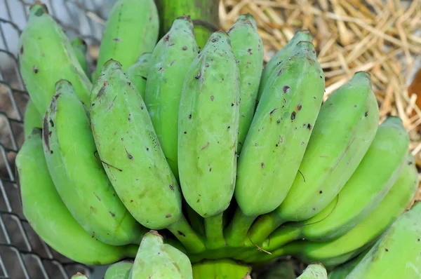 Měkká banán — Stock fotografie